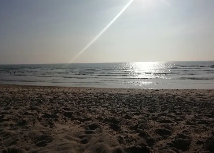 Sailorman House Апартаменты *